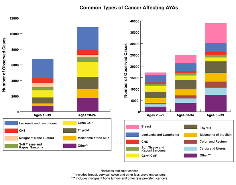 2014_AYA_BAR_v6-side.png
